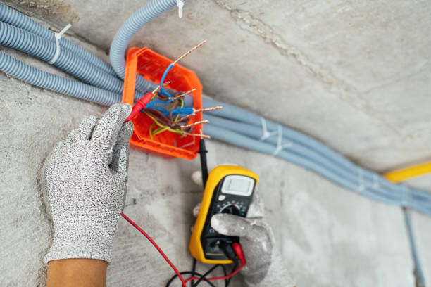 Best Licensed Electrician  in Franklin, CA